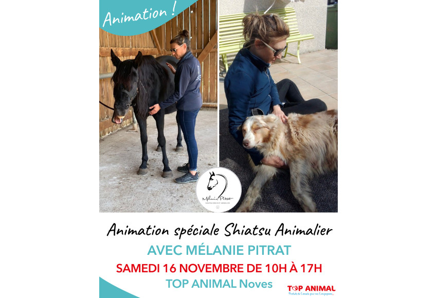 ANIMATION SPECIALE SHIATSU ANIMALIER AVEC MELANIE PITRAT